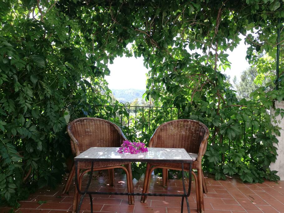 terrace