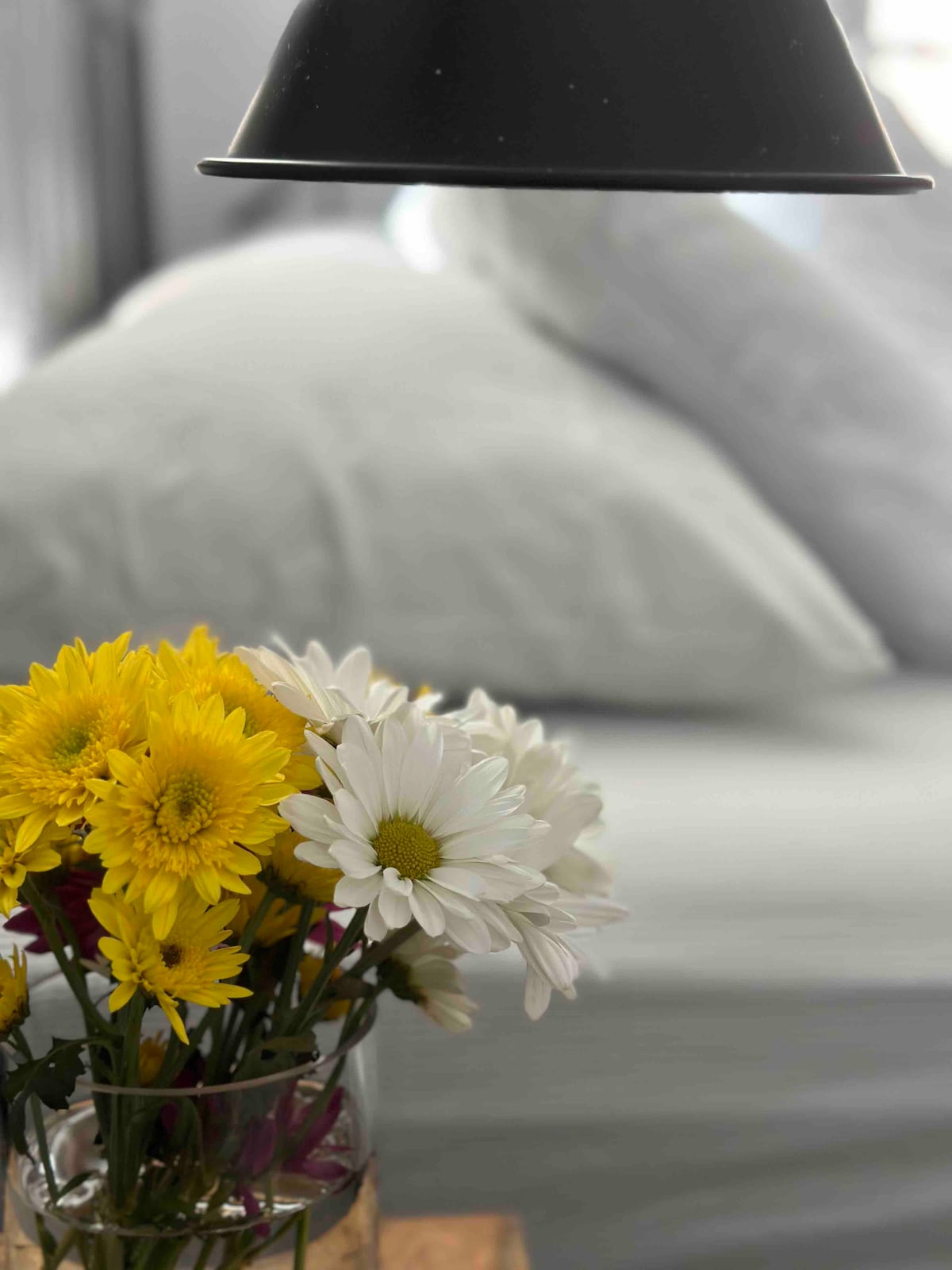 איפשהו בכובע - מיטת קינג סייז עם אור שמש מדהים כדי לקבל את הבקרים והאוויר הצח מספקים משני צידי החדר. 