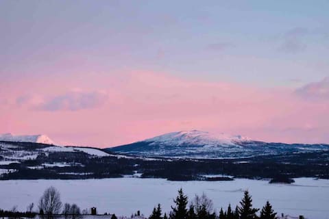 Modern cabin with Mountain View