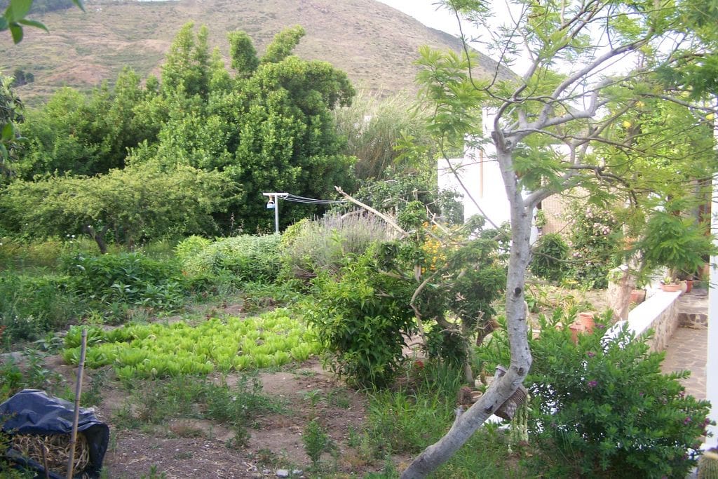 giardino