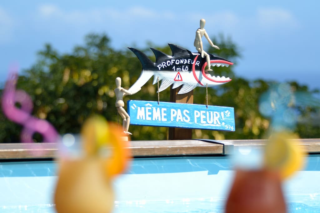 piscine 8X5