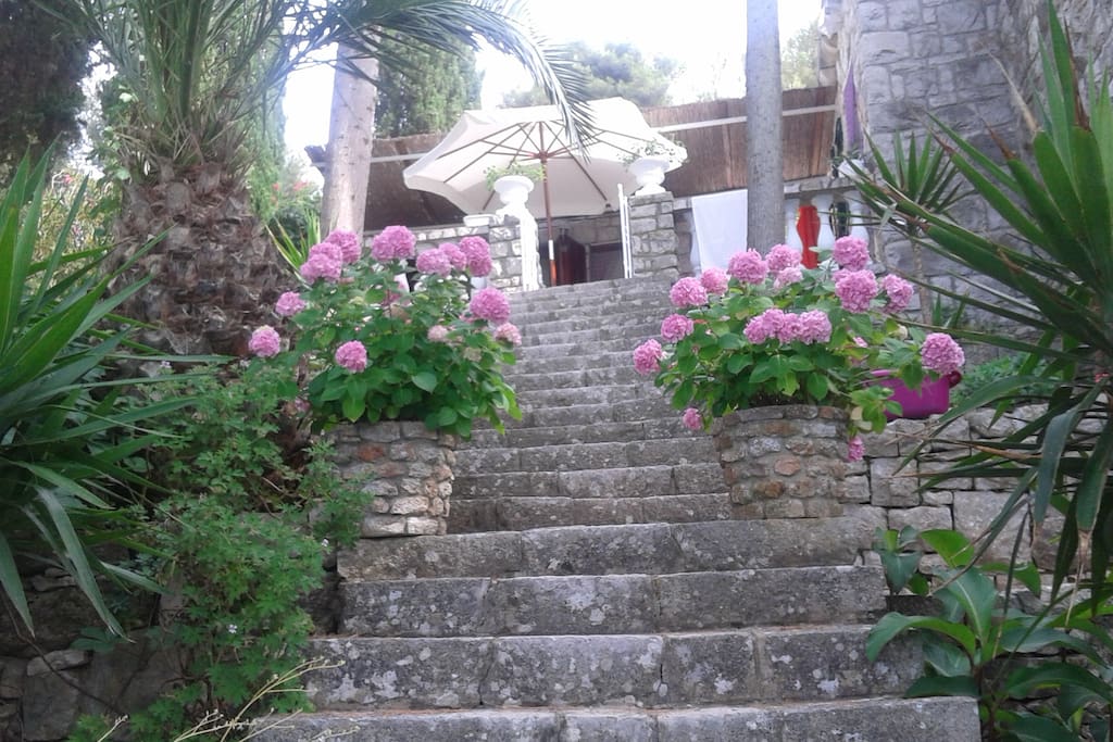 Cascade garden