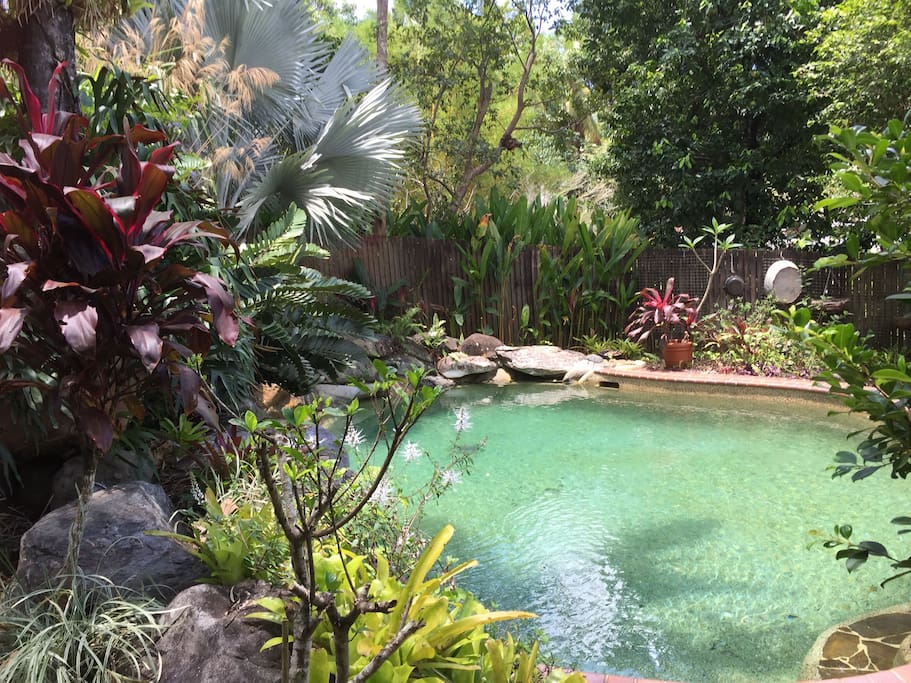 Garden and pool