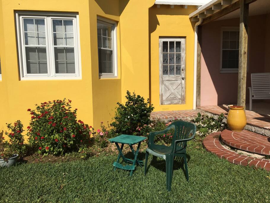 Back yard