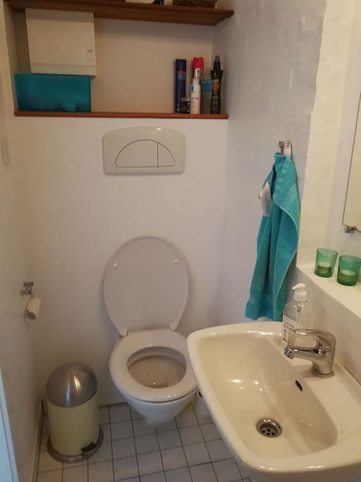 Toilet med håndklæder