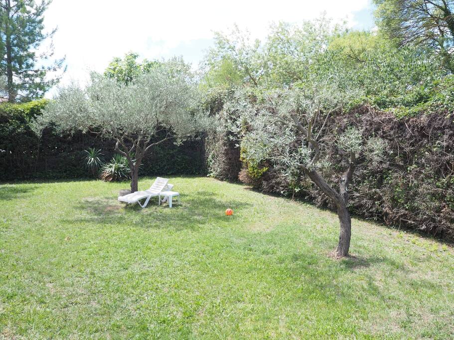jardin