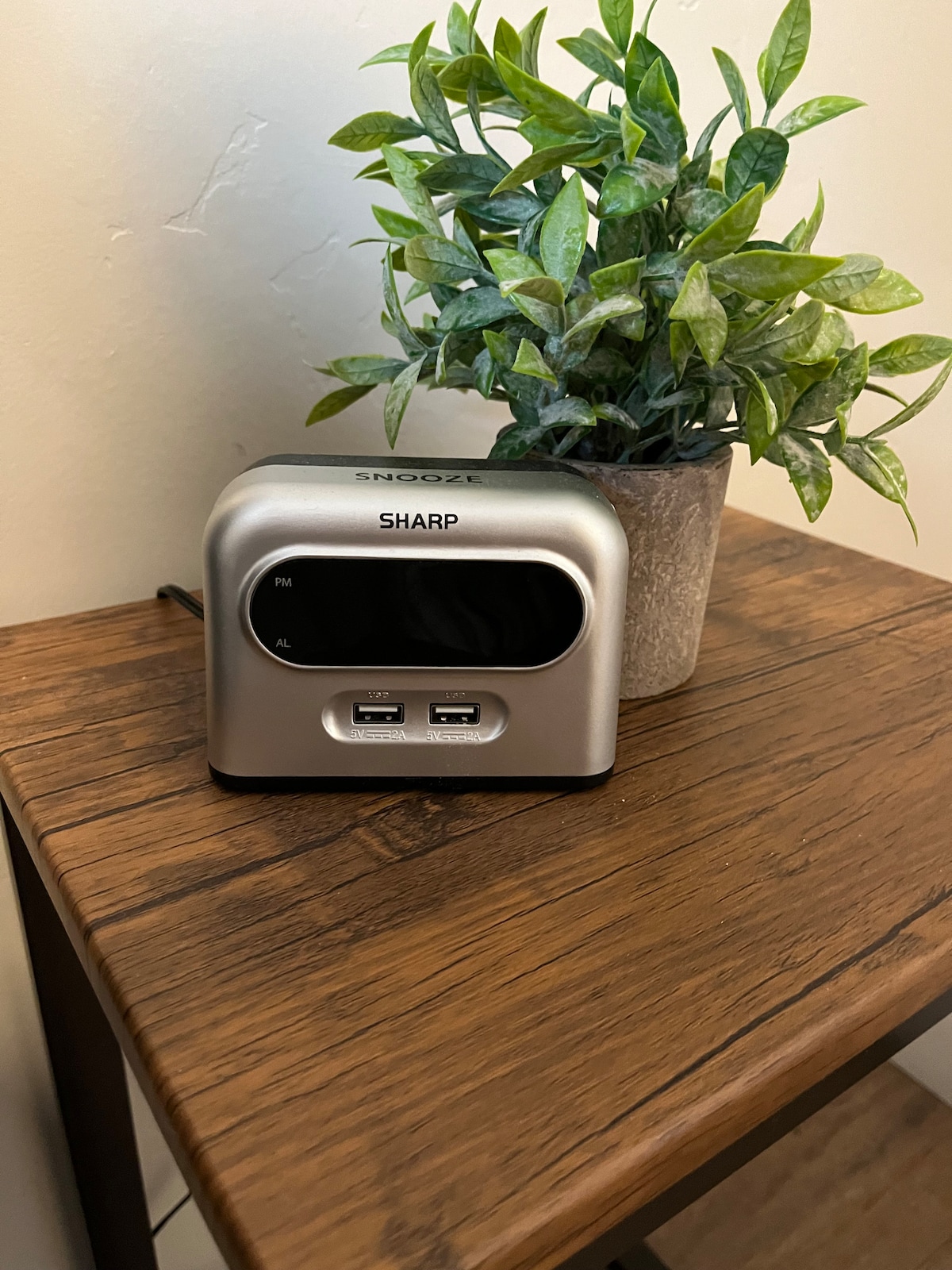 A bedside table is shown featuring a sleek clock radio with dual USB ports on the front. Next to it, a small potted plant adds a touch of greenery, bringing a subtle natural element to the setting.
