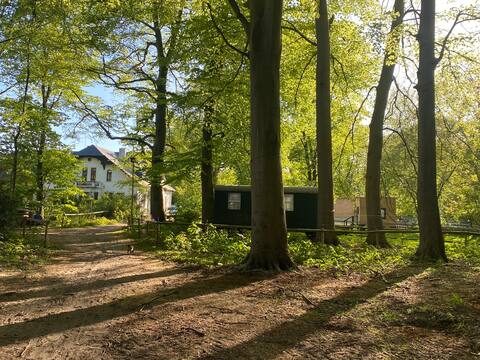 Beautiful construction trailer in the forest on the equestrian farm