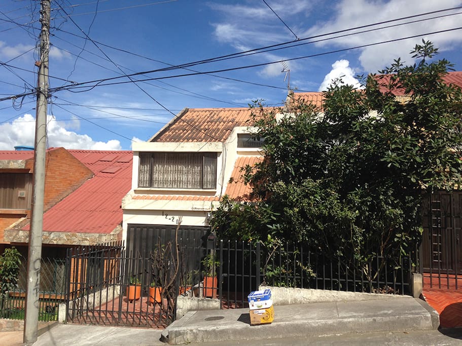 Casa con árboles estado actual
