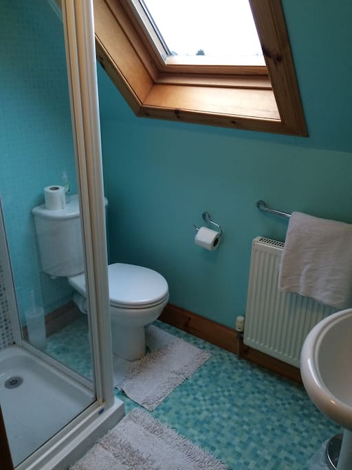 Private ensuite shower and toilet