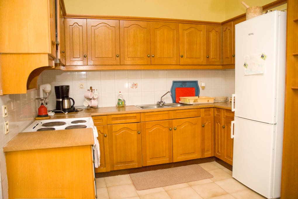 Comfortable kitchen with all electrical appliances needed