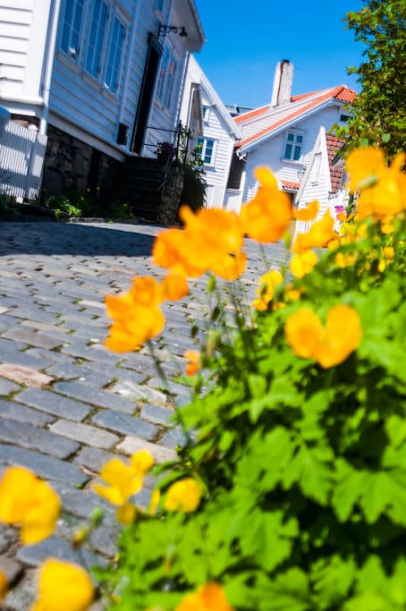 Old Stavanger