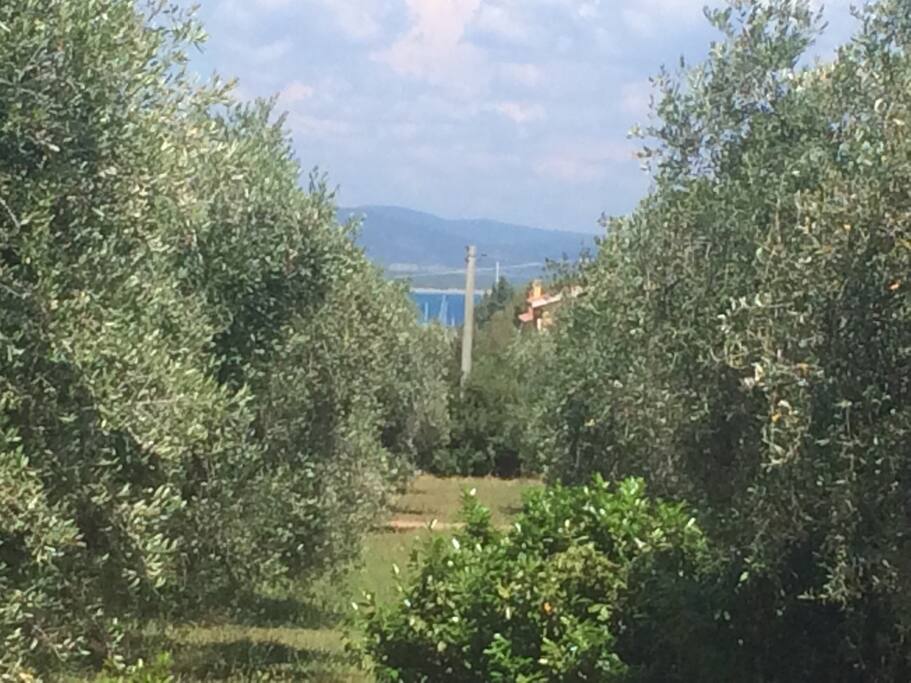 Vista mare Siamo a 200 m dai negozi