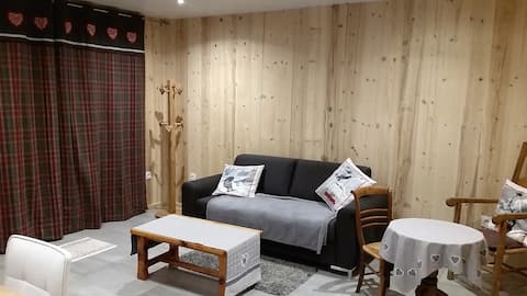 Successful Airbnb property: "La PIERRA-MENTA" apartment in mountain chalet in Pralognan La Vanoise