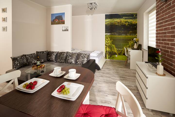 Apartment Vineyard Apartments For Rent In Zielona Gora Lubuskie