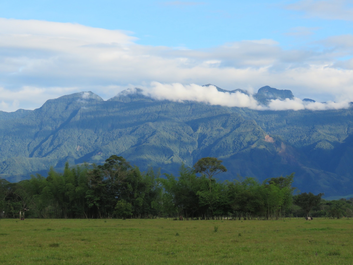 A sprawling green landscape extends in the foreground, leading to a view of majestic mountains in the distance. Cloud cover gracefully drapes the peaks, enhancing the natural beauty of the area. Lush vegetation can be seen along the base of the mountains.