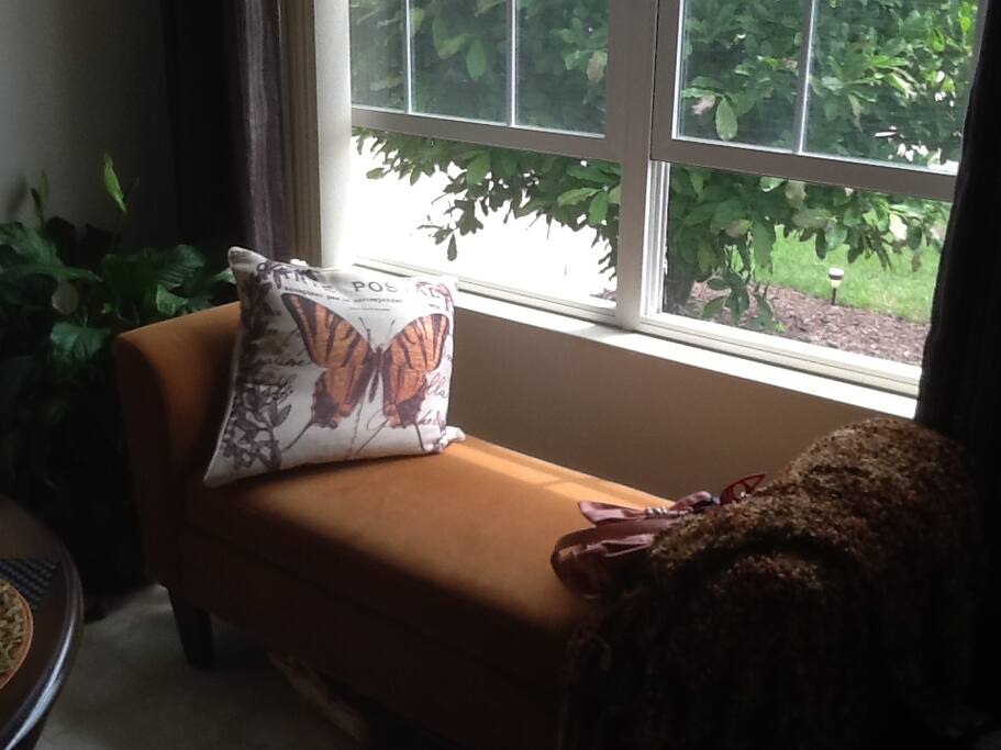 Cozy reading area
