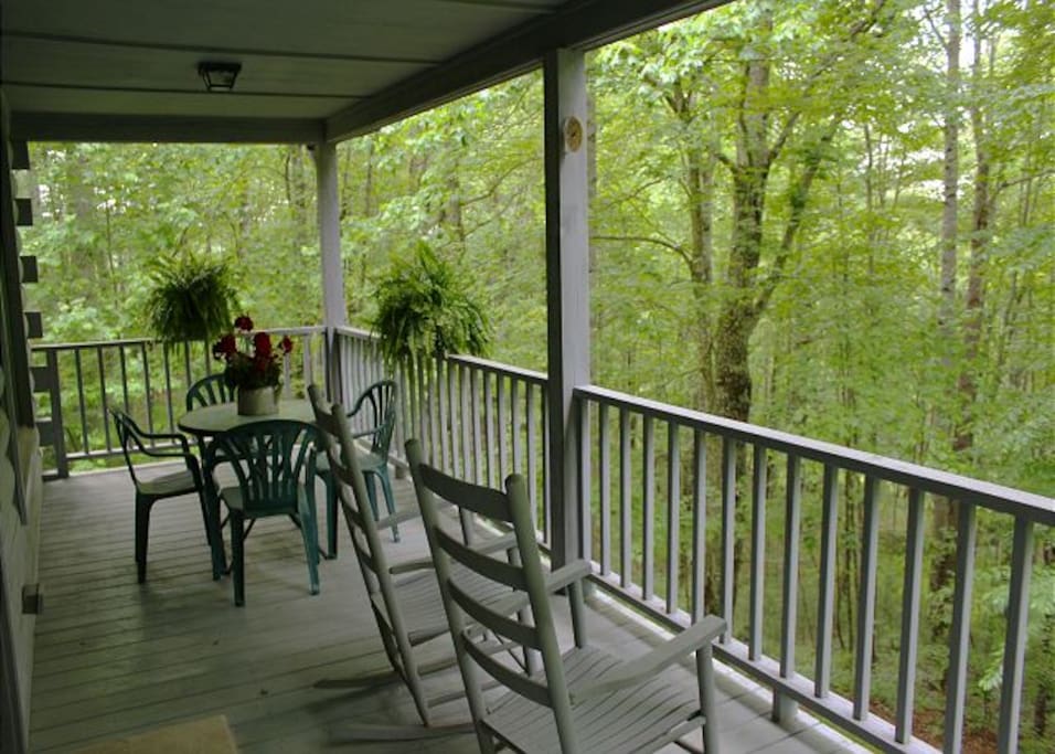 Back Deck
