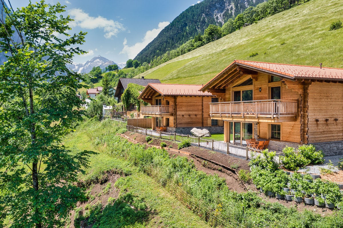 A cluster of wooden chalets is positioned along a gently sloping green hillside, with balconies showcasing expansive mountain views. Lush greenery surrounds the area, and the landscape is complemented by distant mountains under a clear blue sky.