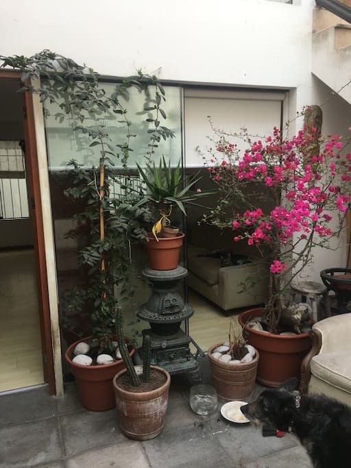Entrada del departamento-Patio interno con mucha luz.