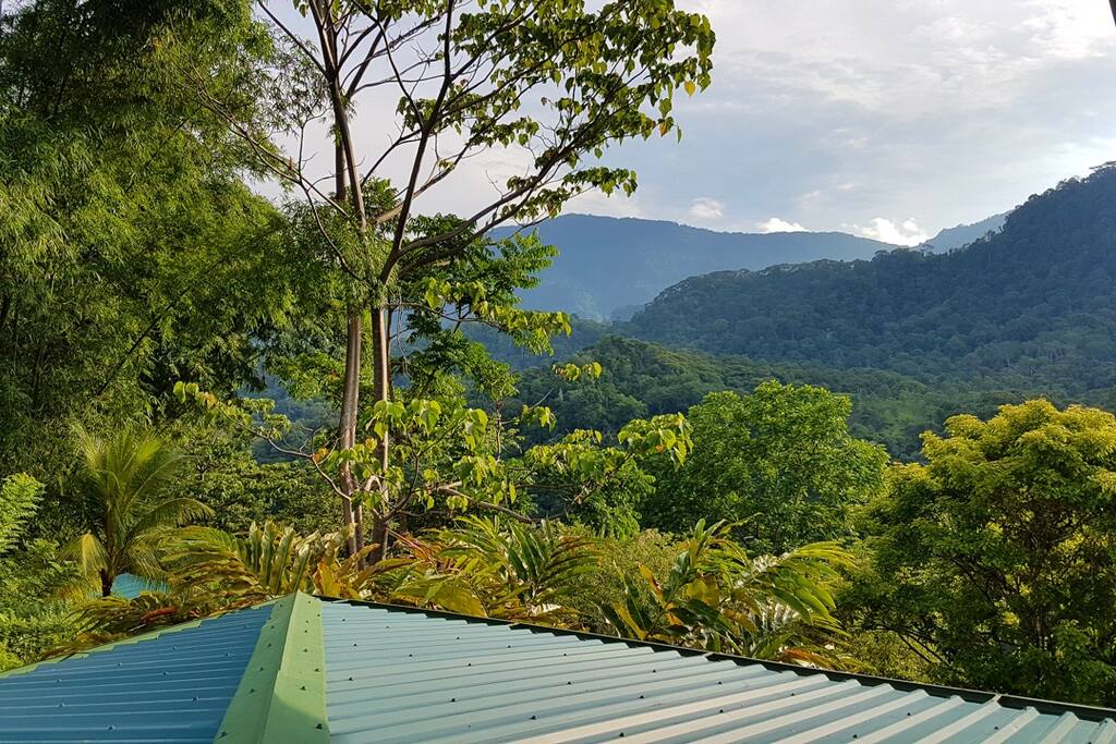 View from upper terrace.