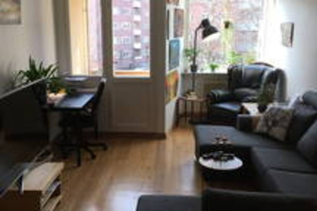 Living Room: 55' Smart-TV, Big Couch, Work Desk, Bright, Open, Balcony.