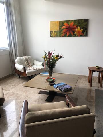 Luxurious Apartment Océan View Copacabana & Christ gallery image 5