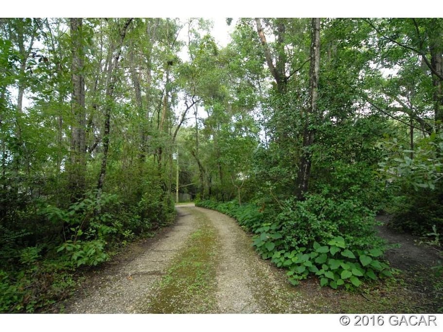 the lane to the property