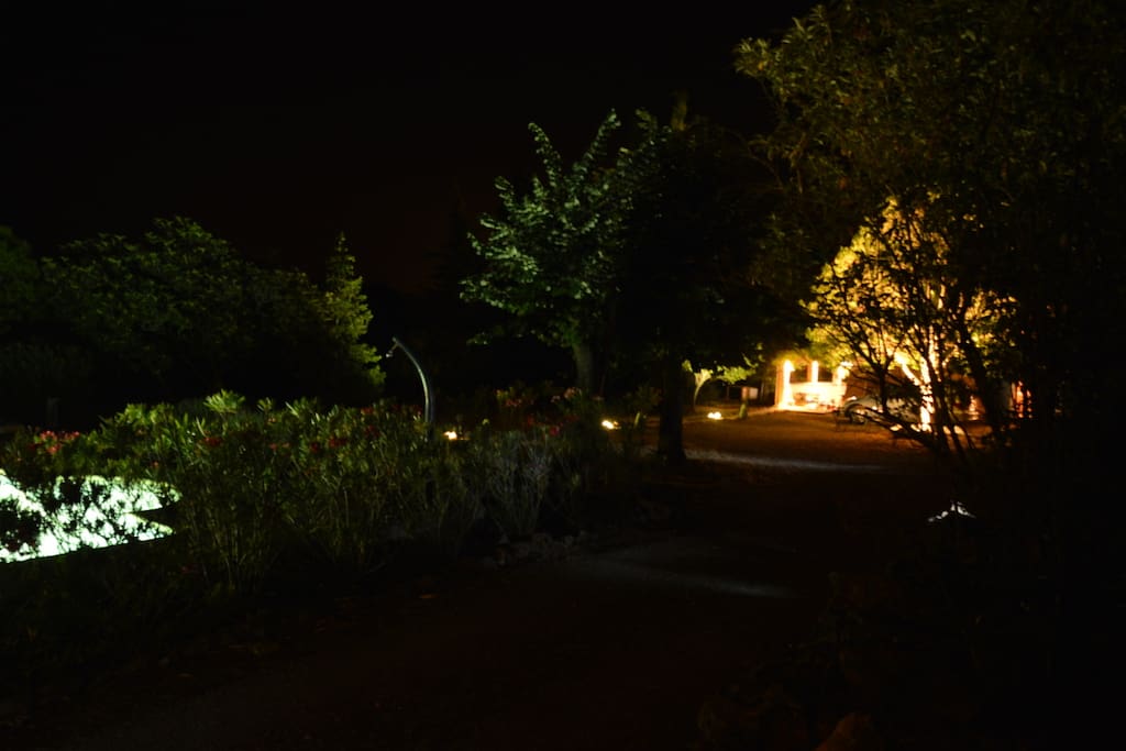 Le jardin de nuit