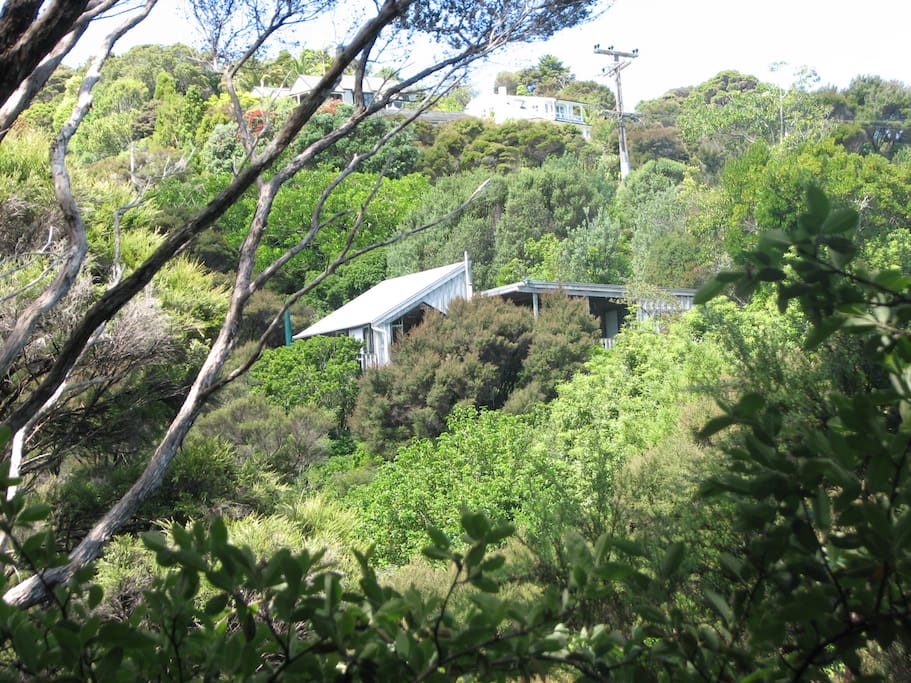 Russell Tree House.