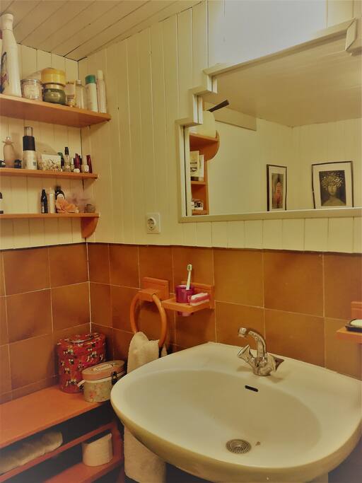 Bathroom for panoramic room.