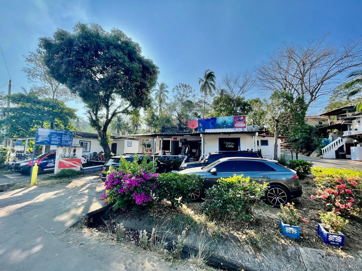 The exterior of a diving center is shown, framed by lush greenery and vibrant pink flowers. Several vehicles are parked along the side, and tall trees provide shade in the area. A clear blue sky complements the cheerful surroundings.