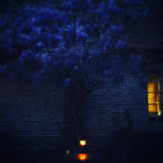 Inner courtyard dining under the blue rain.