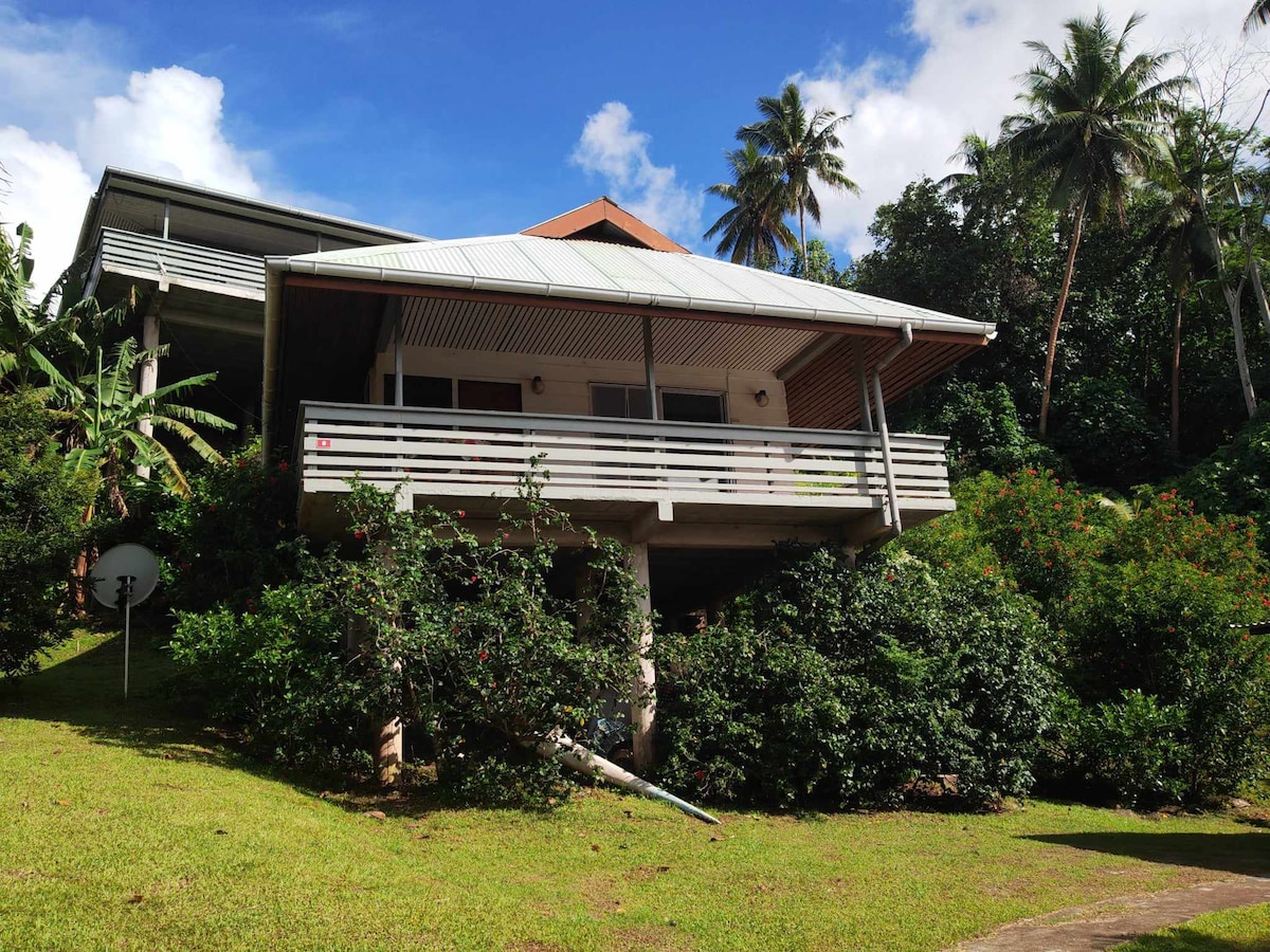 The bungalow features a sloped roof and a spacious covered terrace, elevated on pillars. Lush greenery surrounds the base, and tropical plants are visible alongside the structure. The peaceful natural setting highlights the tranquil atmosphere of the property.
