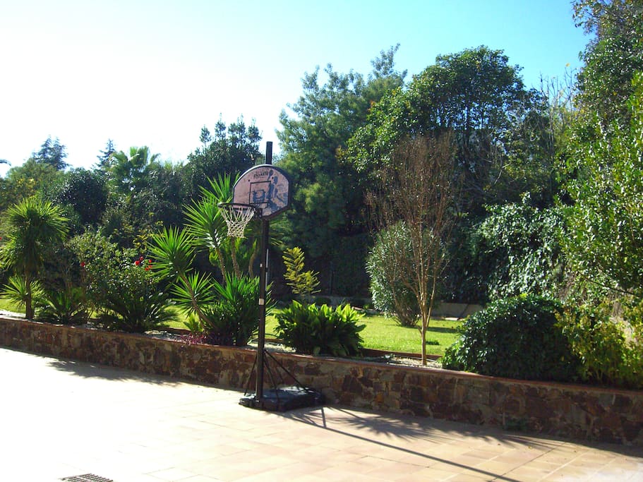To play basquetball