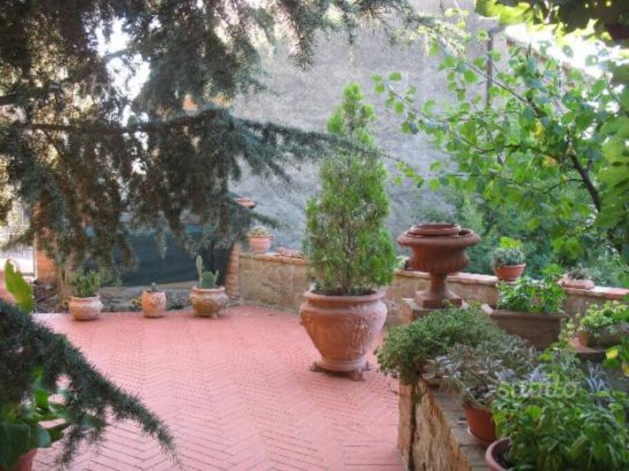 Giardino