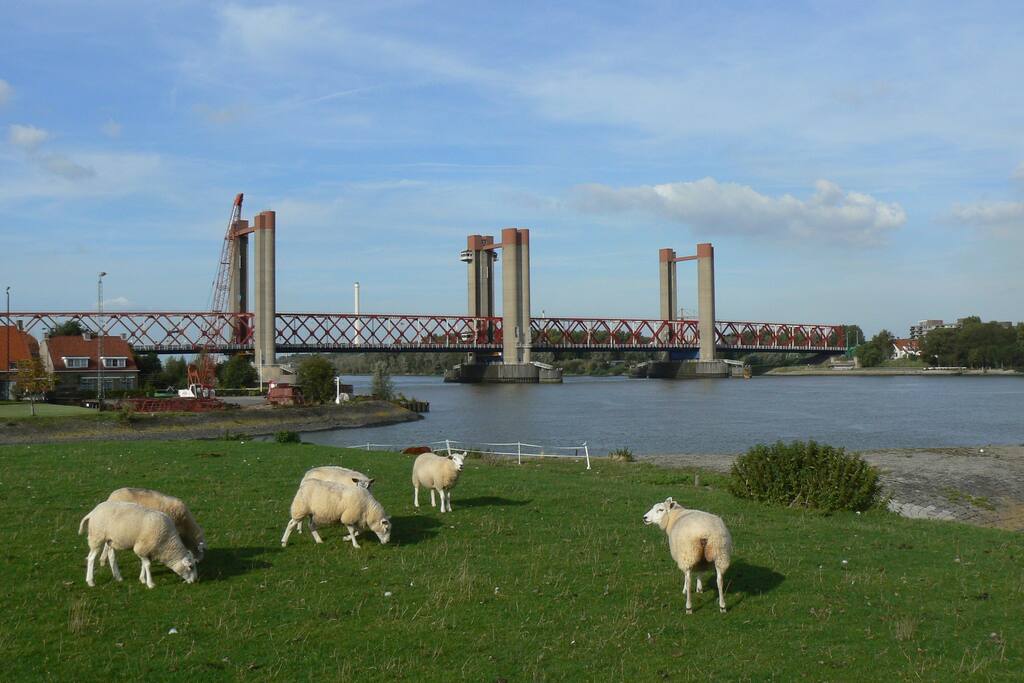 Spijkenisser brug
