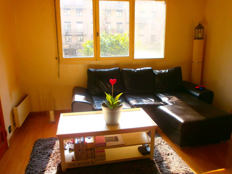 Bright living room