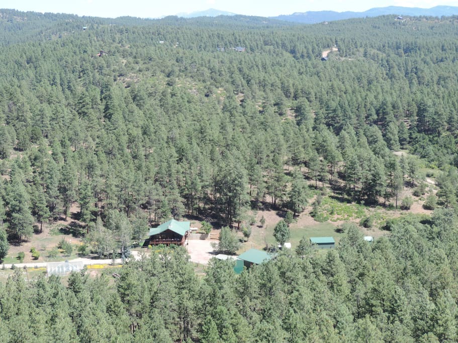 Wooded Mountain Ranch Setting outside Durango - lots of room for walks, running on a good gravel road in the pines, hike to the hilltop or mountain biking.