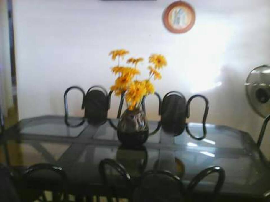 comedor para 6 personas