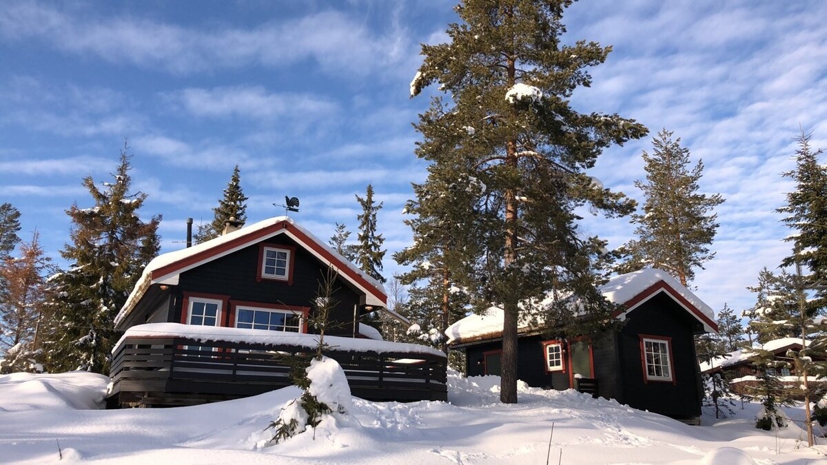 A modern cabin with a dark exterior is surrounded by snow-covered trees under a clear blue sky. The structure features large windows and a wraparound deck, showcasing its design. Snow blankets the ground, creating a serene winter landscape.