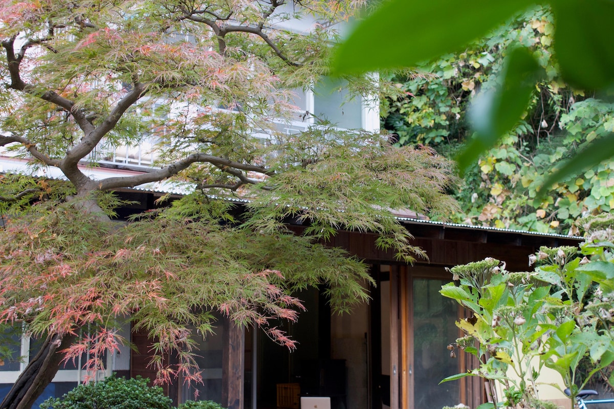A wooden structure is partially hidden by lush greenery, featuring a maple tree with vibrant autumn leaves. The entrance is framed by greenery, providing a natural and serene setting for the retreat.