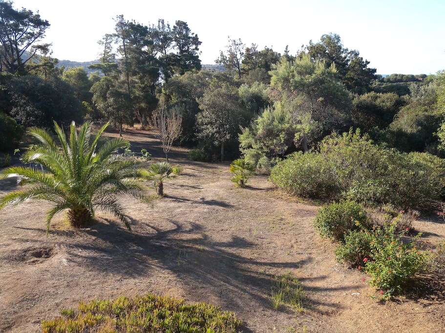 Grand jardin vu depuis la terrasse du haut