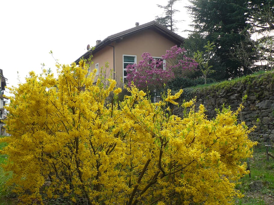 La casa vista dal torrente