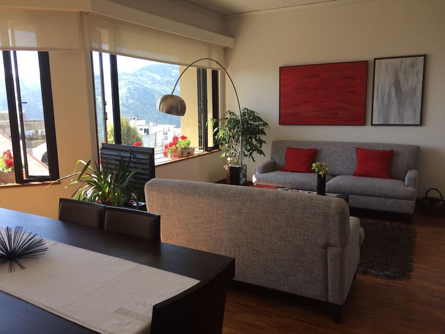 living comedor
