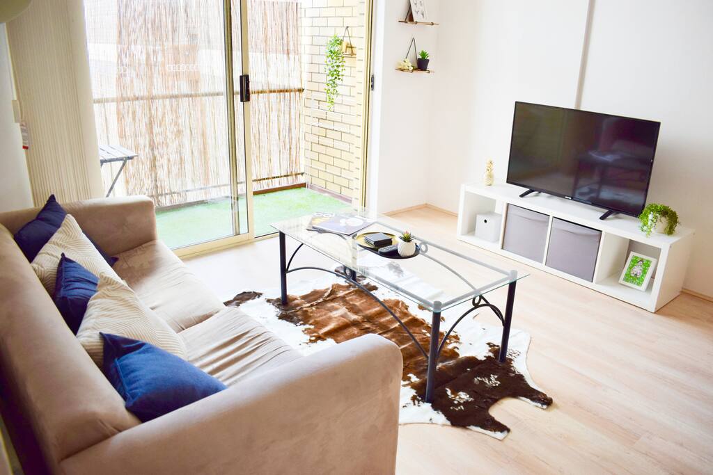 Fold out sofa and flat screen TV