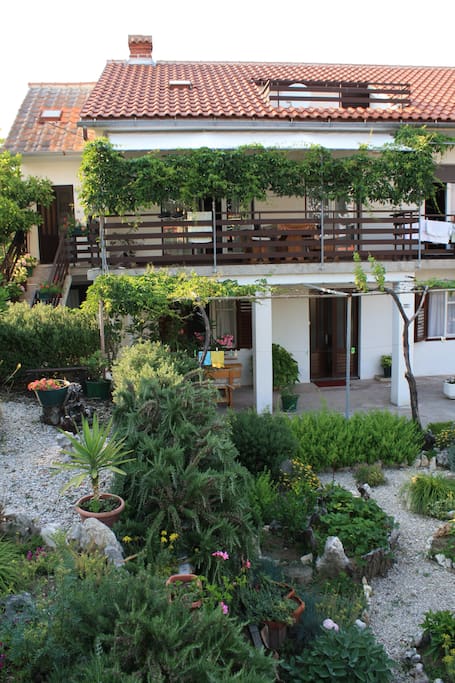 Our garden and house