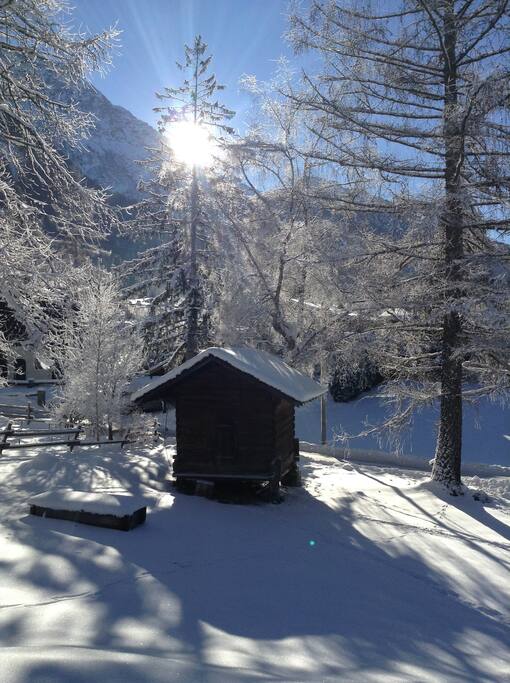 Moins 15° le givre de l'hiver