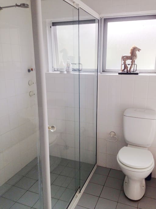 Full shower & bath