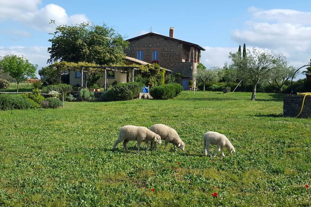 Il casale